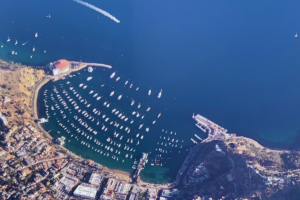 Catalina - Avalon