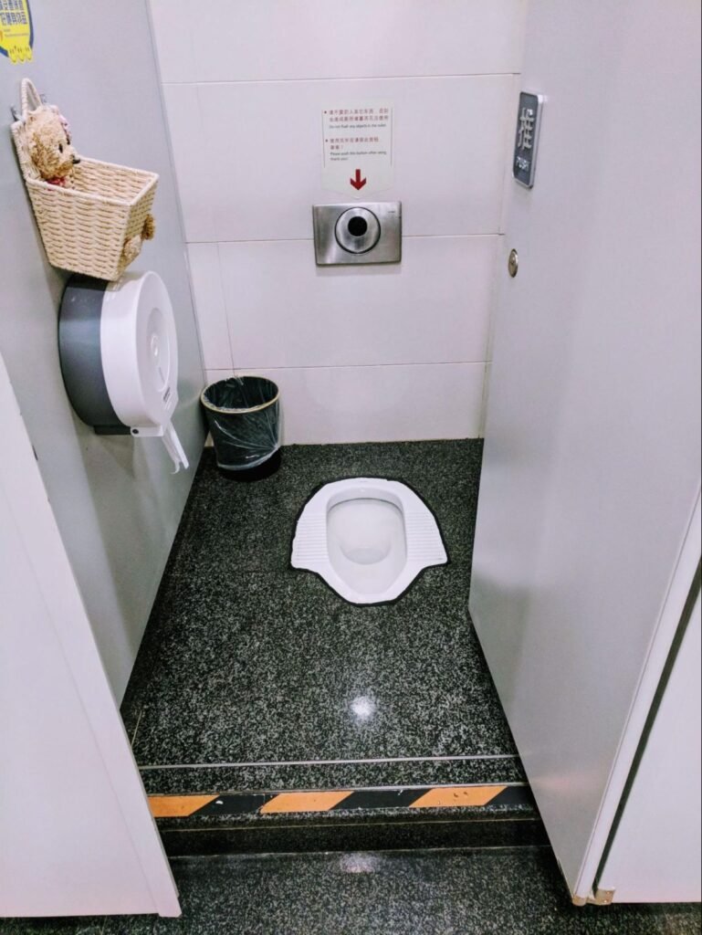 A rare toilet in China with tp